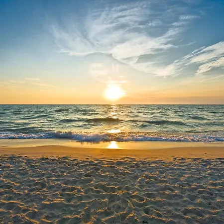 Imperator-1 By Interhome